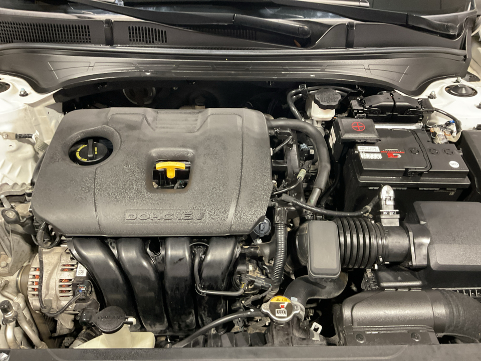 2019 Kia Forte FE