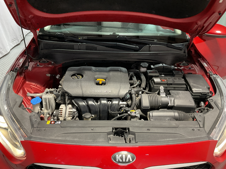2019 Kia Forte FE