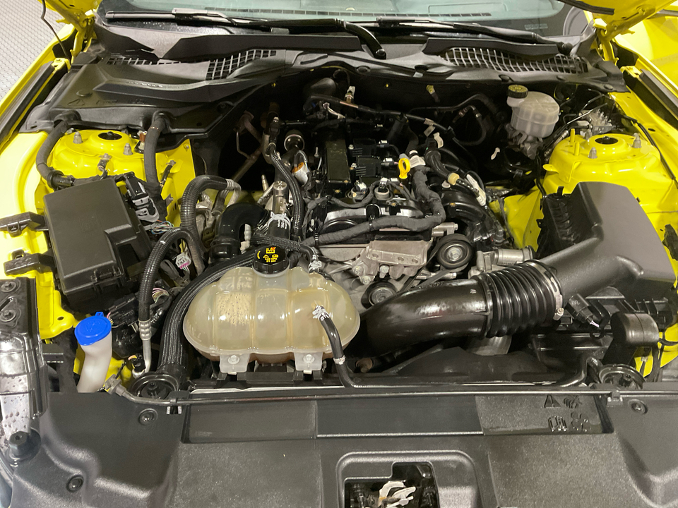 2021 Ford Mustang EcoBoost Coupe