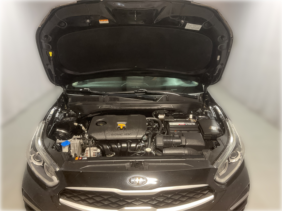 2019 Kia Forte FE