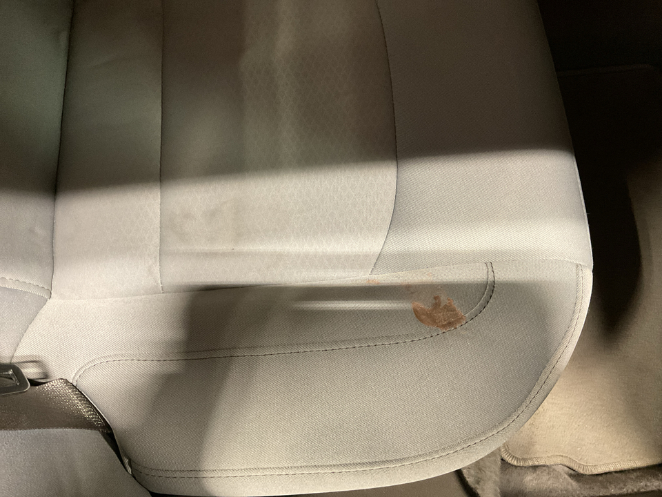 2019 Chevrolet Malibu 1FL