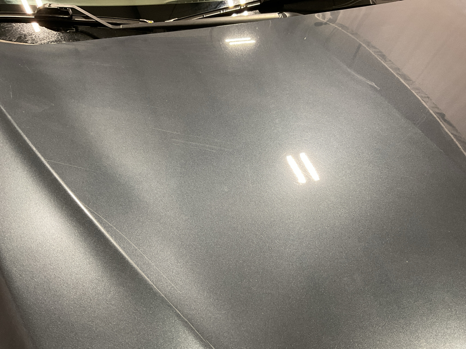 2019 Chevrolet Malibu 1FL