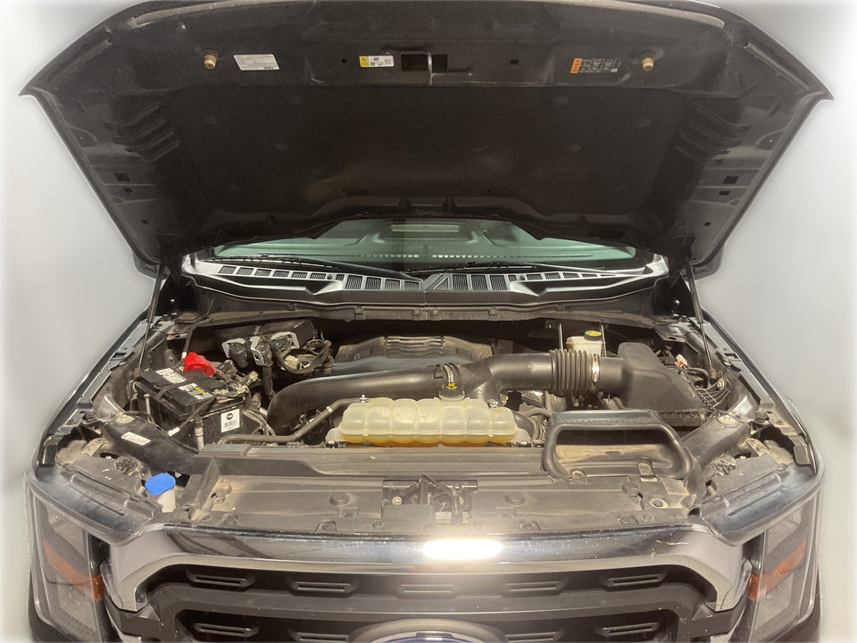 2023 Ford F-150 XLT SuperCrew 5.5-ft. Bed 2WD