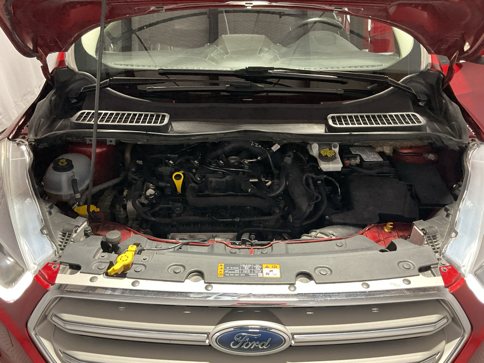 2019 Ford Escape SEL FWD