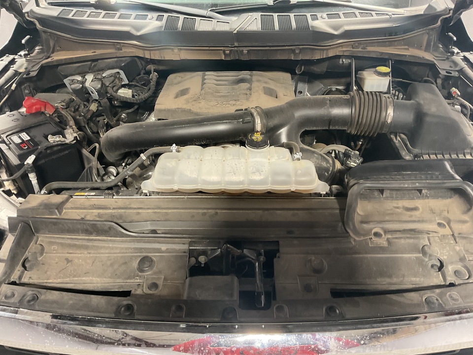 2023 Ford F-150 XLT SuperCrew 5.5-ft. Bed 2WD